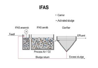IFAS